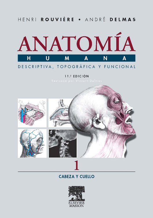 Libro Impreso Anatomía Humana Descriptiva, topográfica y funcional. Tomo 1. Cabeza y cuello 11th Edition by Henry Rouviere