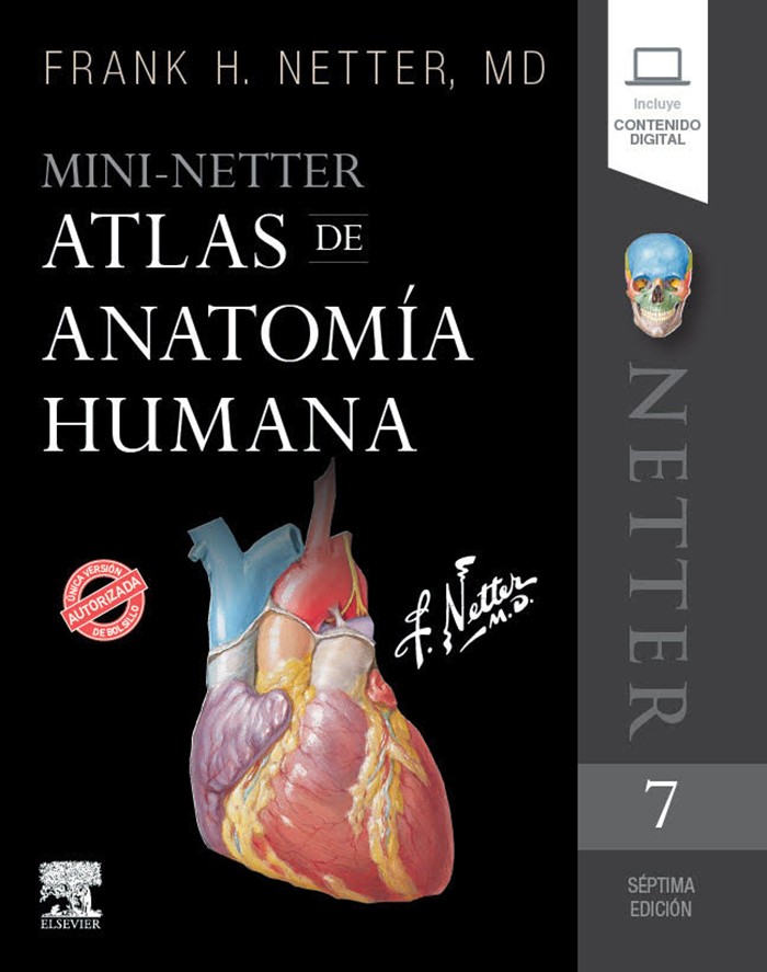 Mini-Netter Atlas de anatomía humana 7ed