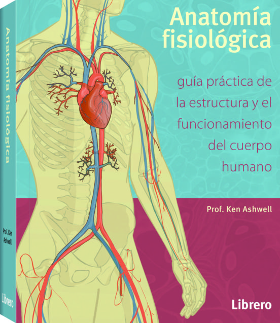 Libro Impreso Anatomía fisiológica Guía práctica de la estructura y el funcionamiento del Cuerpo Humano