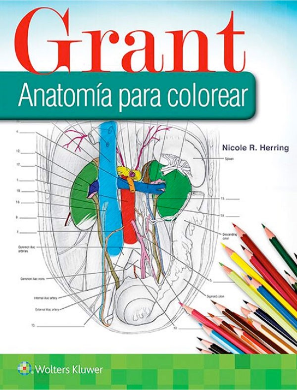 Libro Impreso Grant – Anatomía Para Colorear