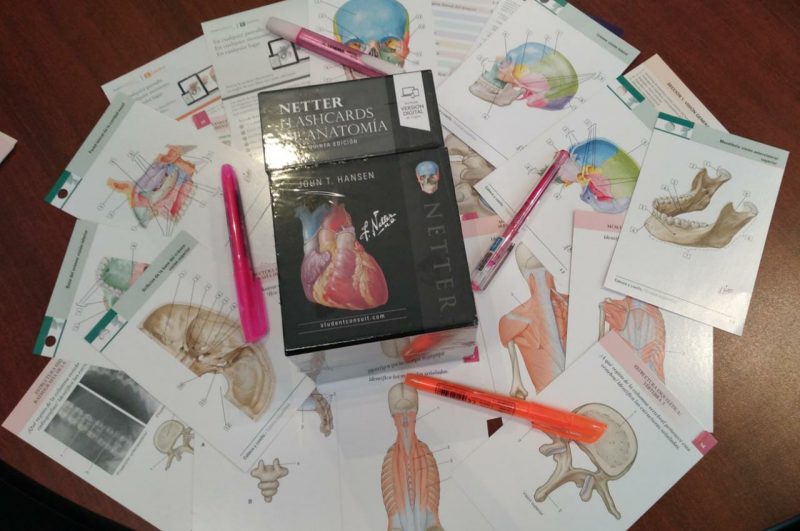 Netter. Flashcards de anatomía 5 edition