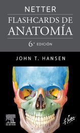 Netter. Flashcards de anatomía 6 ed